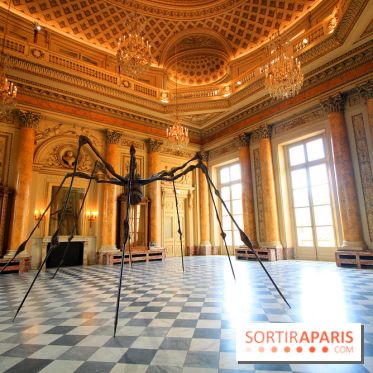 Women House à la Monnaie de Paris - Louise Bourgeois, Spider, 1995