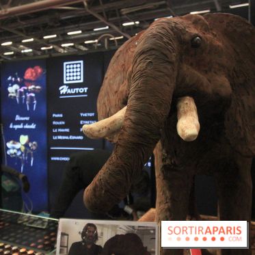 Salon du Chocolat 2017