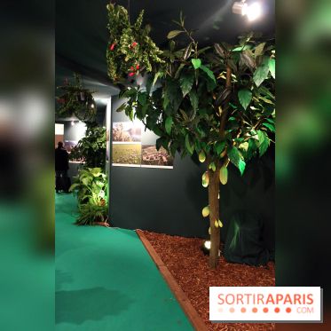 Salon du Chocolat Junior 2017