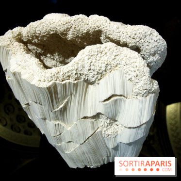 Un monde de plis à la chapelle Expiatoire