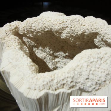 Un monde de plis à la chapelle Expiatoire