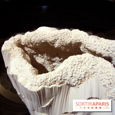 Un monde de plis à la chapelle Expiatoire