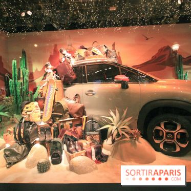 Vitrines de Noël 2017 au Printemps