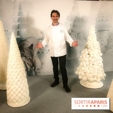 Les Bûches 2017 et galette des rois 2018 de Lenôtre