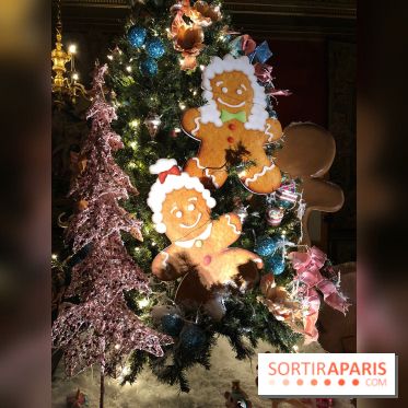 Noël 2017 à Vaux le Vicomte