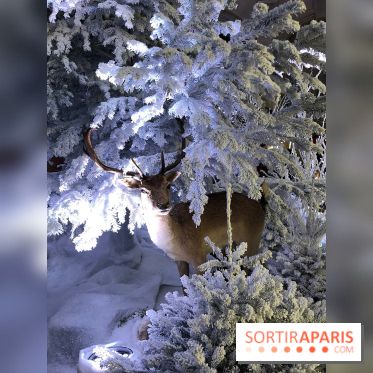 Noël 2017 à Vaux le Vicomte