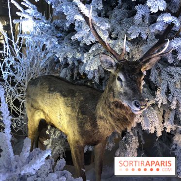 Noël 2017 à Vaux le Vicomte