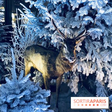 Noël 2017 à Vaux le Vicomte