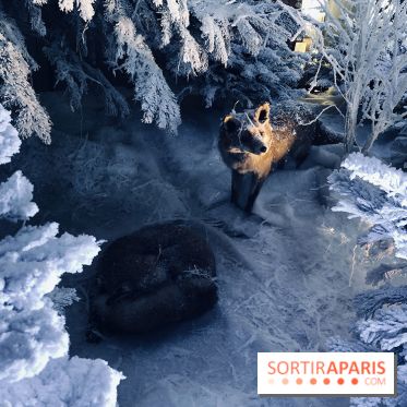 Noël 2017 à Vaux le Vicomte