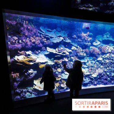 Peppa Pig débarque à l’Aquarium de Paris