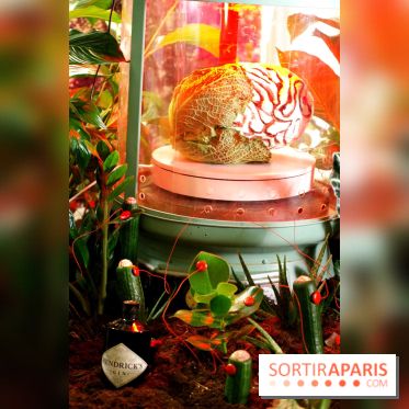 Chambers of the Curious, édition 2017, à l'Hôtel Particulier Montmartre