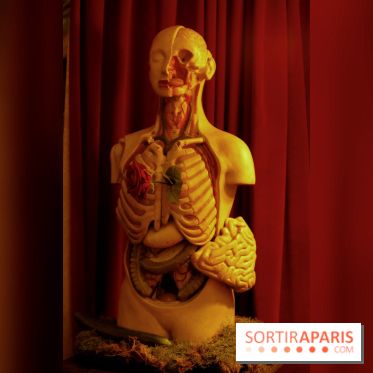 Chambers of the Curious, édition 2017, à l'Hôtel Particulier Montmartre