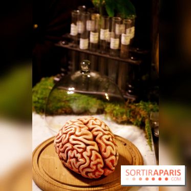 Chambers of the Curious, édition 2017, à l'Hôtel Particulier Montmartre