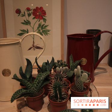 Le pop-up Store de Bergamotte