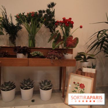 Le pop-up Store de Bergamotte