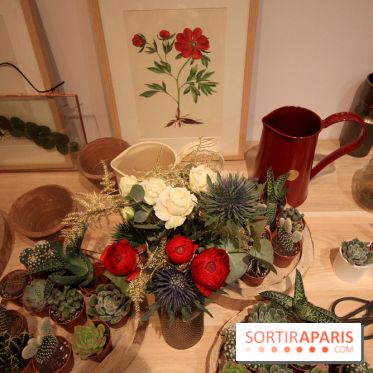 Le pop-up Store de Bergamotte