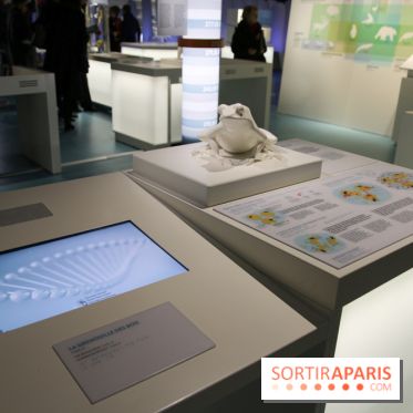 Froid à la Cité des Sciences