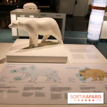 Froid à la Cité des Sciences