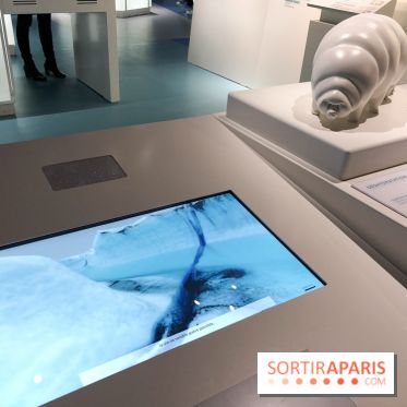 Froid à la Cité des Sciences