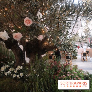 Le 86Champs, le nouveau salon de thé de Pierre Hermé