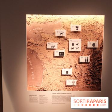 Exposition Pasteur au Palais de la Découverte