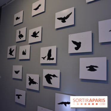 Nino Migliori, l'exposition à la MEP