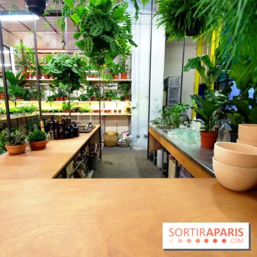 Ground Control ouvre les portes de la Halle Charolais à Paris