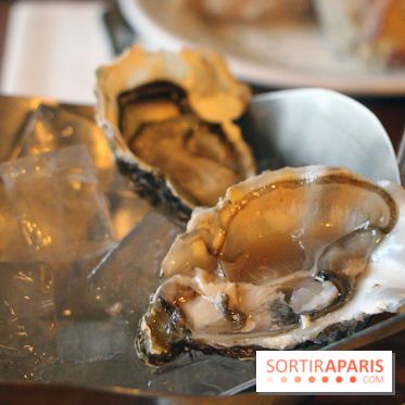 Vins des Pyrénées, dimanches Kids Friendly : les photos 