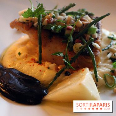 Vins des Pyrénées, dimanches Kids Friendly : les photos 