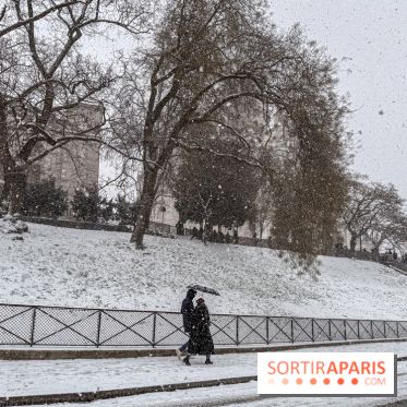 La Neige à Paris - IMG 2844