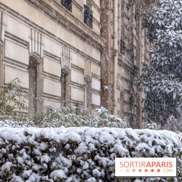 La Neige à Paris - IMG 7574