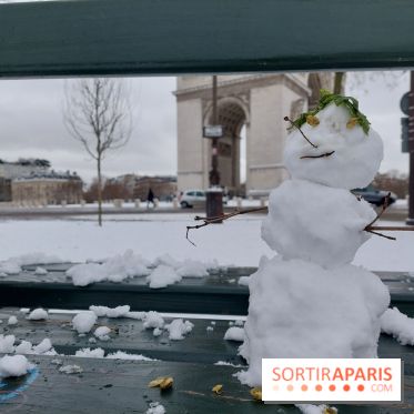 La Neige à Paris - 20260107 123615