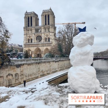 La Neige à Paris - Notre-Dame de Paris