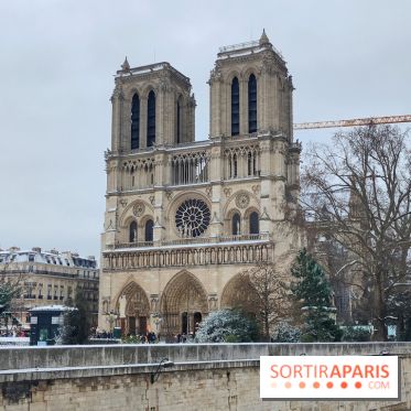 La Neige à Paris - Notre Dame de Paris