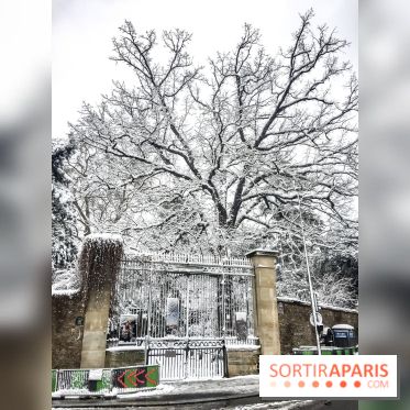 La Neige à Paris