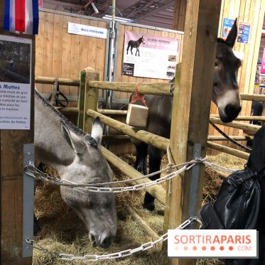Salon de l'agriculture 2018