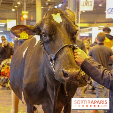 Salon de l'agriculture 2018