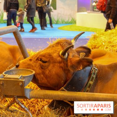Salon de l'agriculture 2018