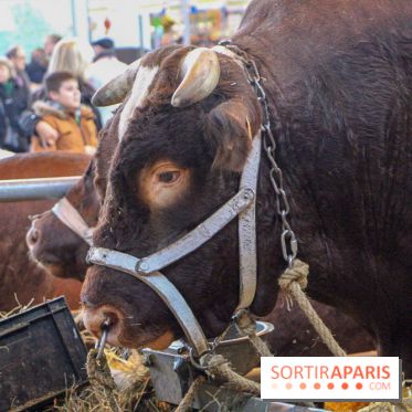 Salon de l'agriculture 2018