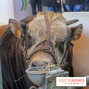 Salon de l'agriculture 2018
