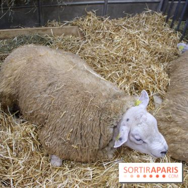 Salon de l'agriculture 2018