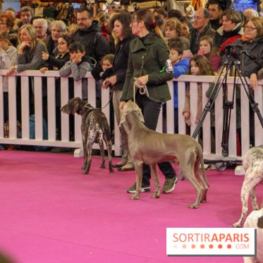 Salon de l'agriculture 2018