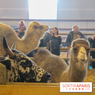 Salon de l'agriculture 2018