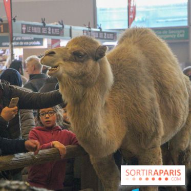 Salon de l'agriculture 2018