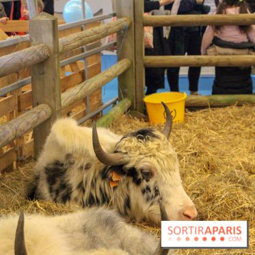 Salon de l'agriculture 2018