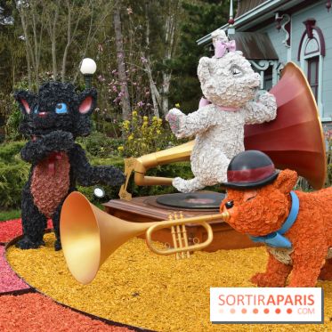 Base de données LaurentP