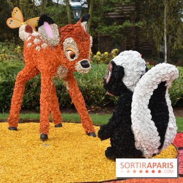 Base de données LaurentP