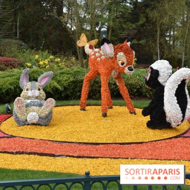 Base de données LaurentP