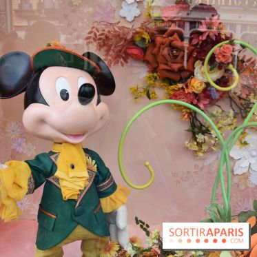 Base de données LaurentP