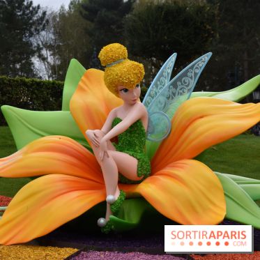 Base de données LaurentP